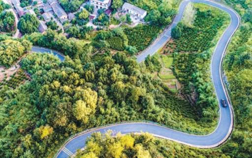 中央定调：2023年农村公路改善陆续有“五方面推动”村村涉及(图7)