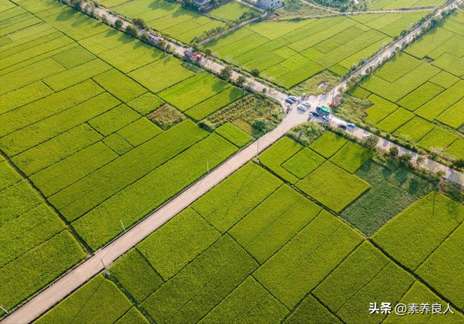 中央确定建设项目：2023年农村全面推进5大建设工程村村都涉及(图3)