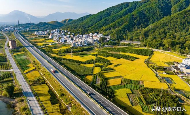 中央确定建设项目：2023年农村全面推进5大建设工程村村都涉及