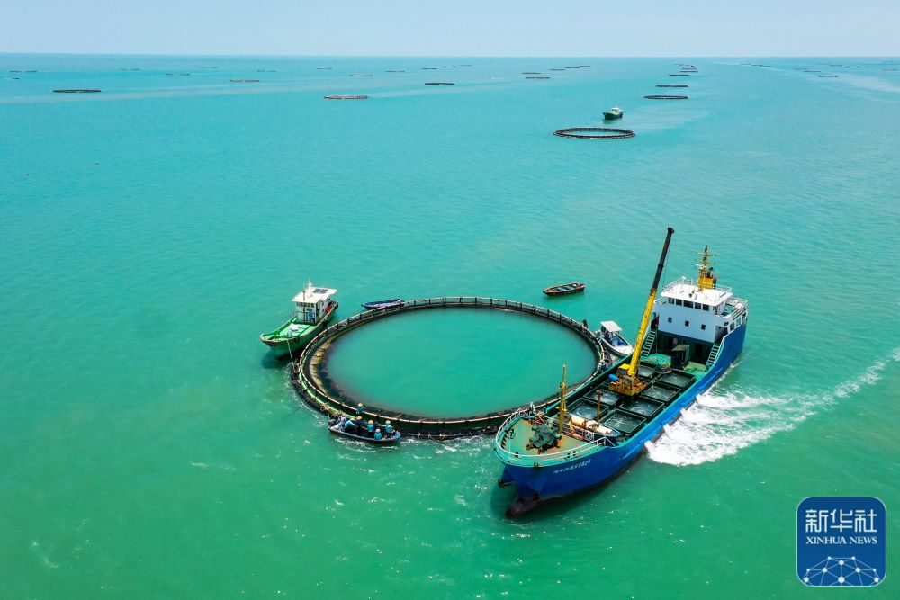 2023年新华社年度照片•飞阅中国(图23)