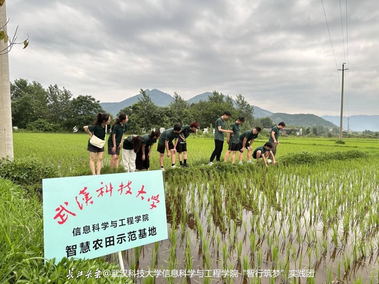 把论文写在祖国大地上！长江头条《全国大学生暑期社会实践报告（2023年）》发布(图2)