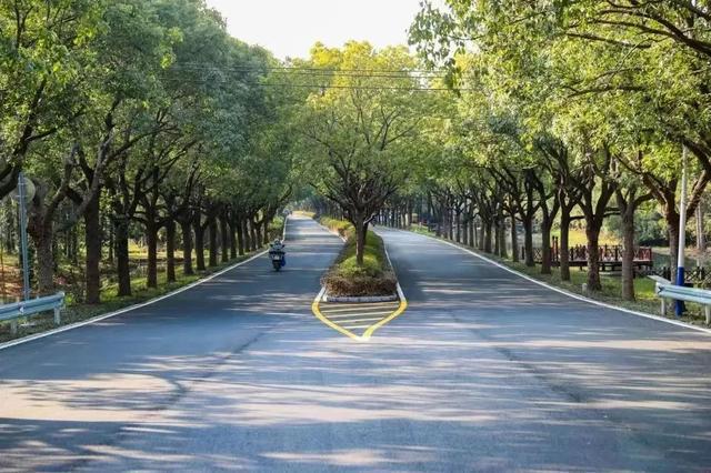 动动你的手指为松江这位“最美公路人”点赞！(图5)