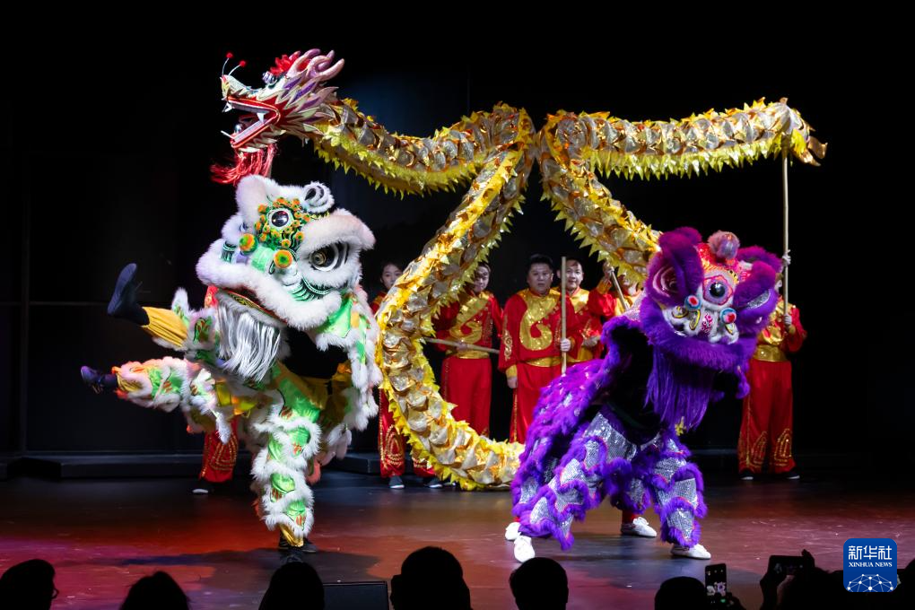 综合消息｜温暖迎春 全球共庆中国年——龙年春节庆祝活动在多国举行(图4)