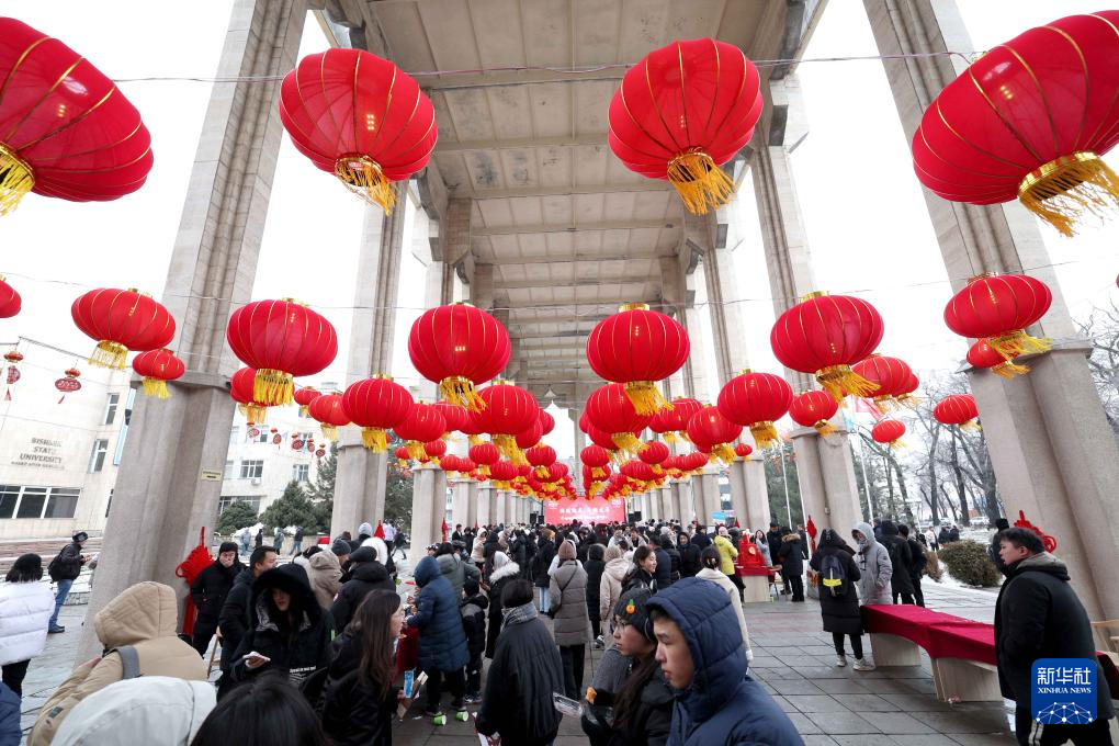 锦绣中国年丨五洲共迎中国年(图9)