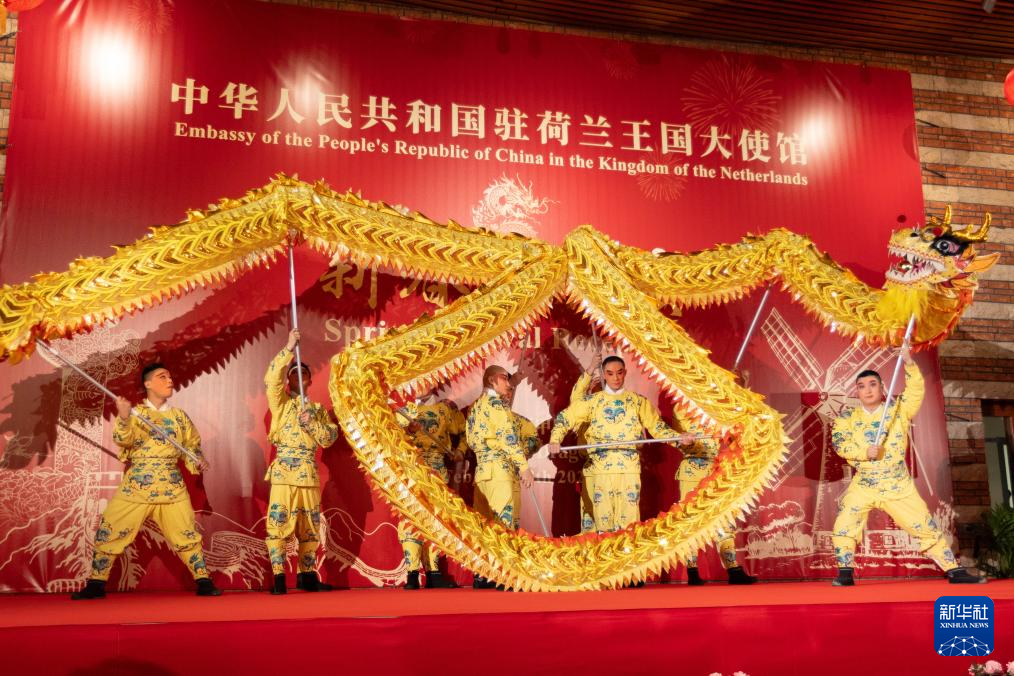 锦绣中国年丨五洲共迎中国年(图11)