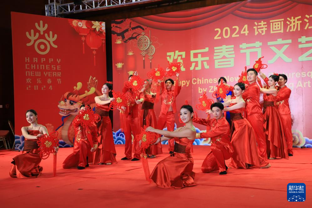 锦绣中国年丨五洲共迎中国年(图12)