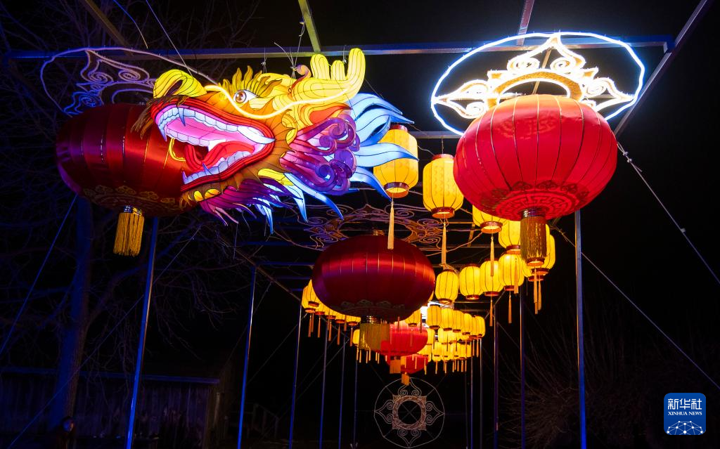 锦绣中国年丨五洲共迎中国年(图14)