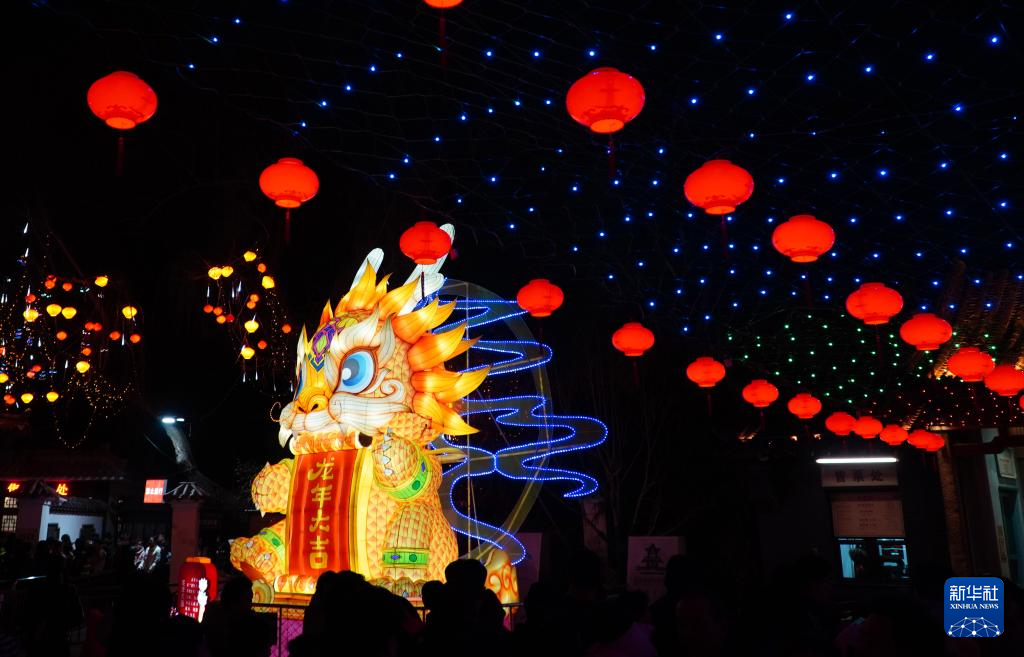 济南：花灯灿烂庆新春(图3)