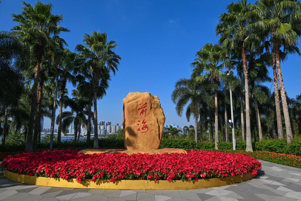 软硬联通协同融合——《粤港澳大湾区发展规划纲要》公开发布五周年侧记