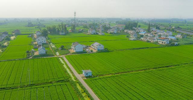 中央拟定2023年全面启动5大工程涉及到农民的生产和生活(图2)